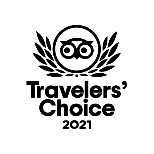 Trip Advisor 2021 Travelers Choice Award