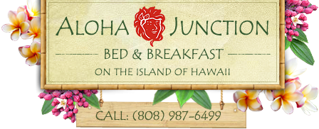 Aloha Junction Guesthouse secure online reservation system